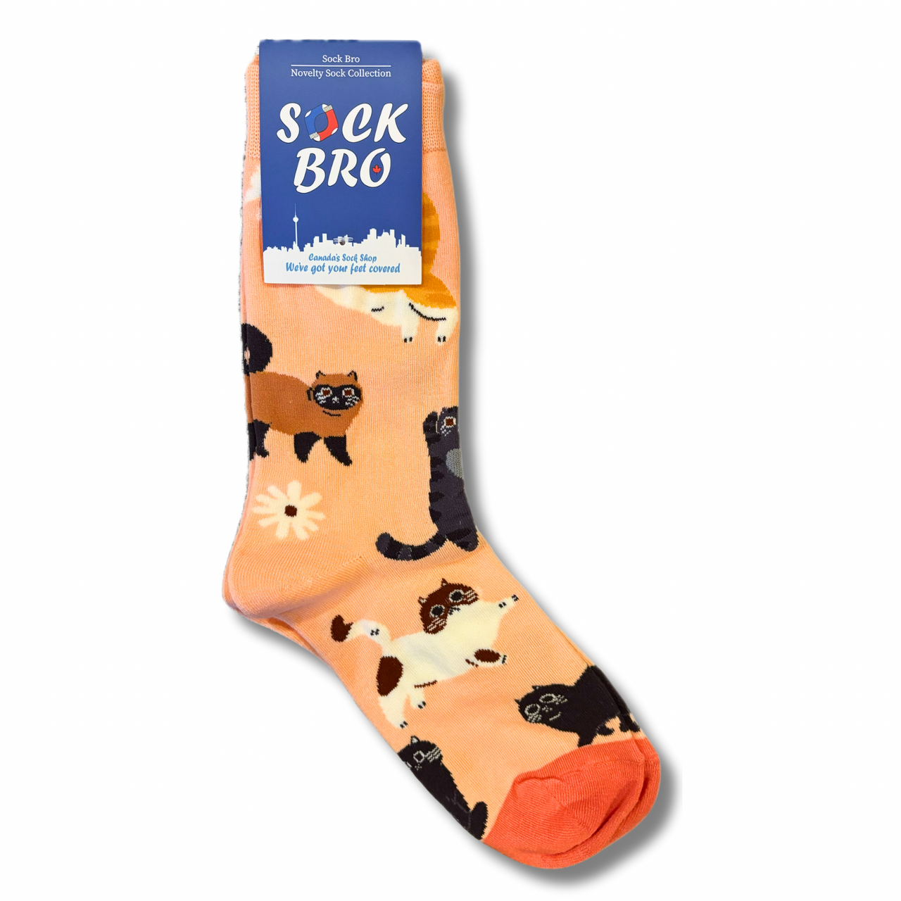 Mixed Pink Cats Socks