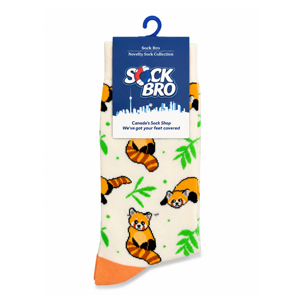 Raccoon Socks