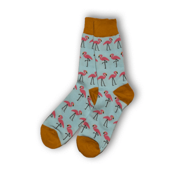 Animal Sock Bundle - 5 Pack